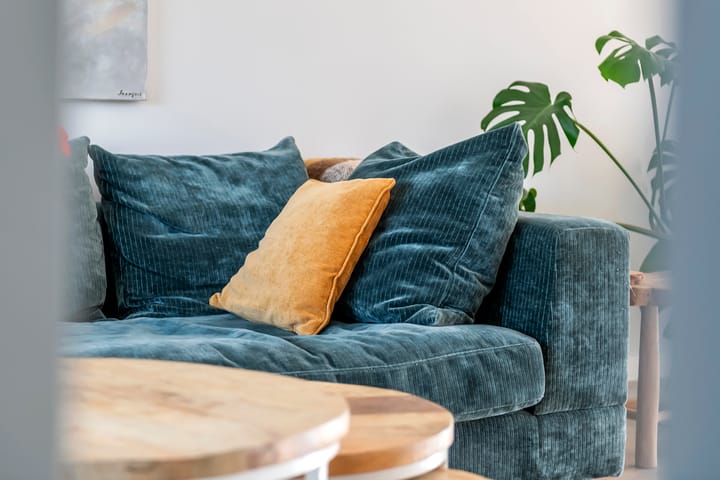 Foto 11 van Vlagzalm 11