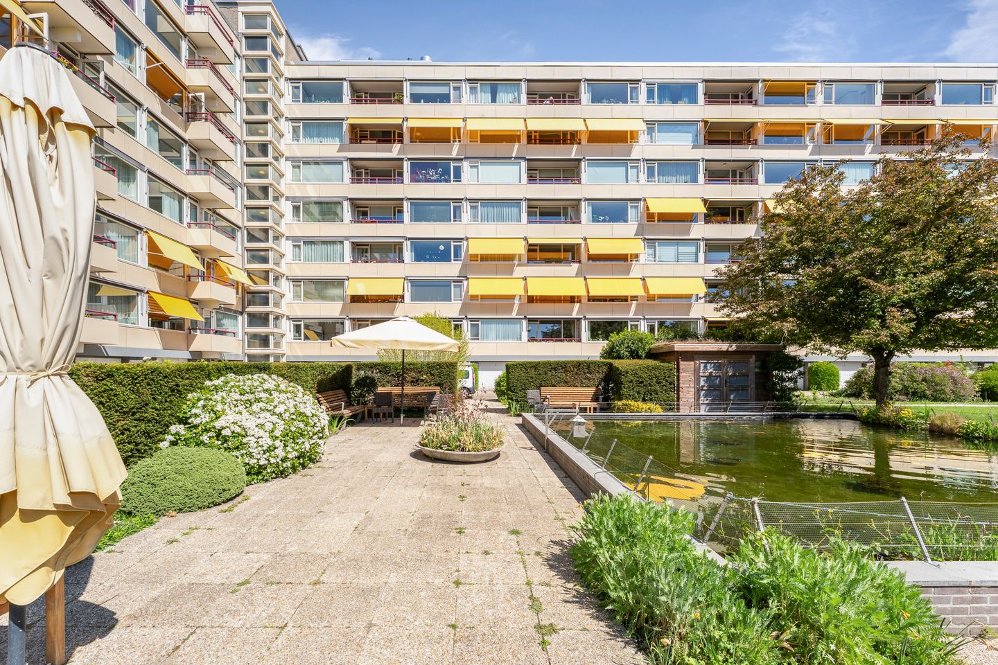 Foto 25 van Zandvoorter Allee 250