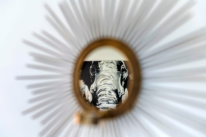 Foto 41 van Vlagzalm 11