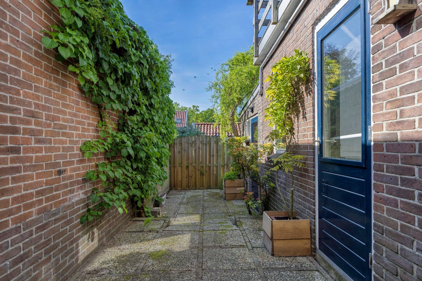 Foto 35 van Dr. Ammanstraat 8