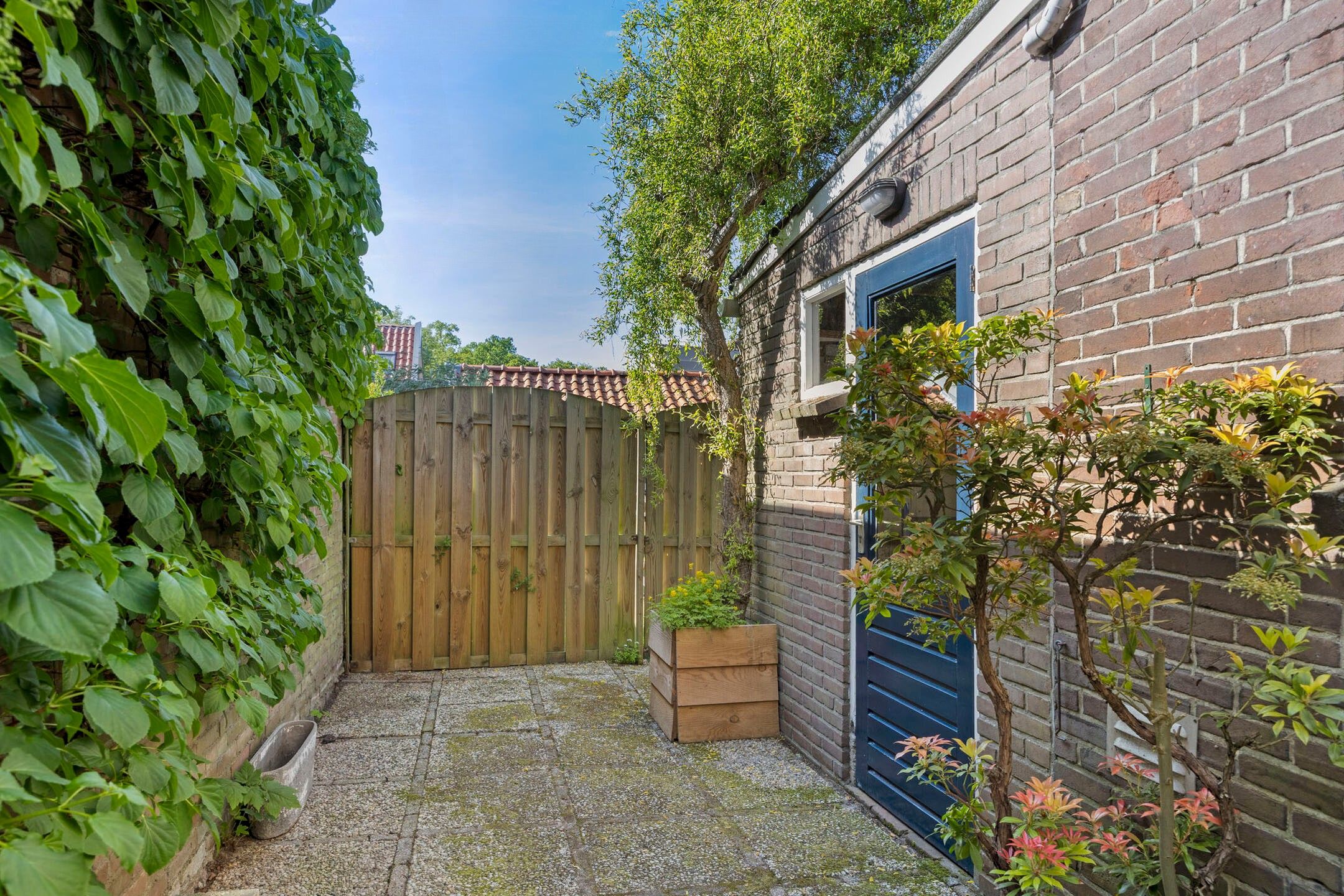 Foto 36 van Dr. Ammanstraat 8