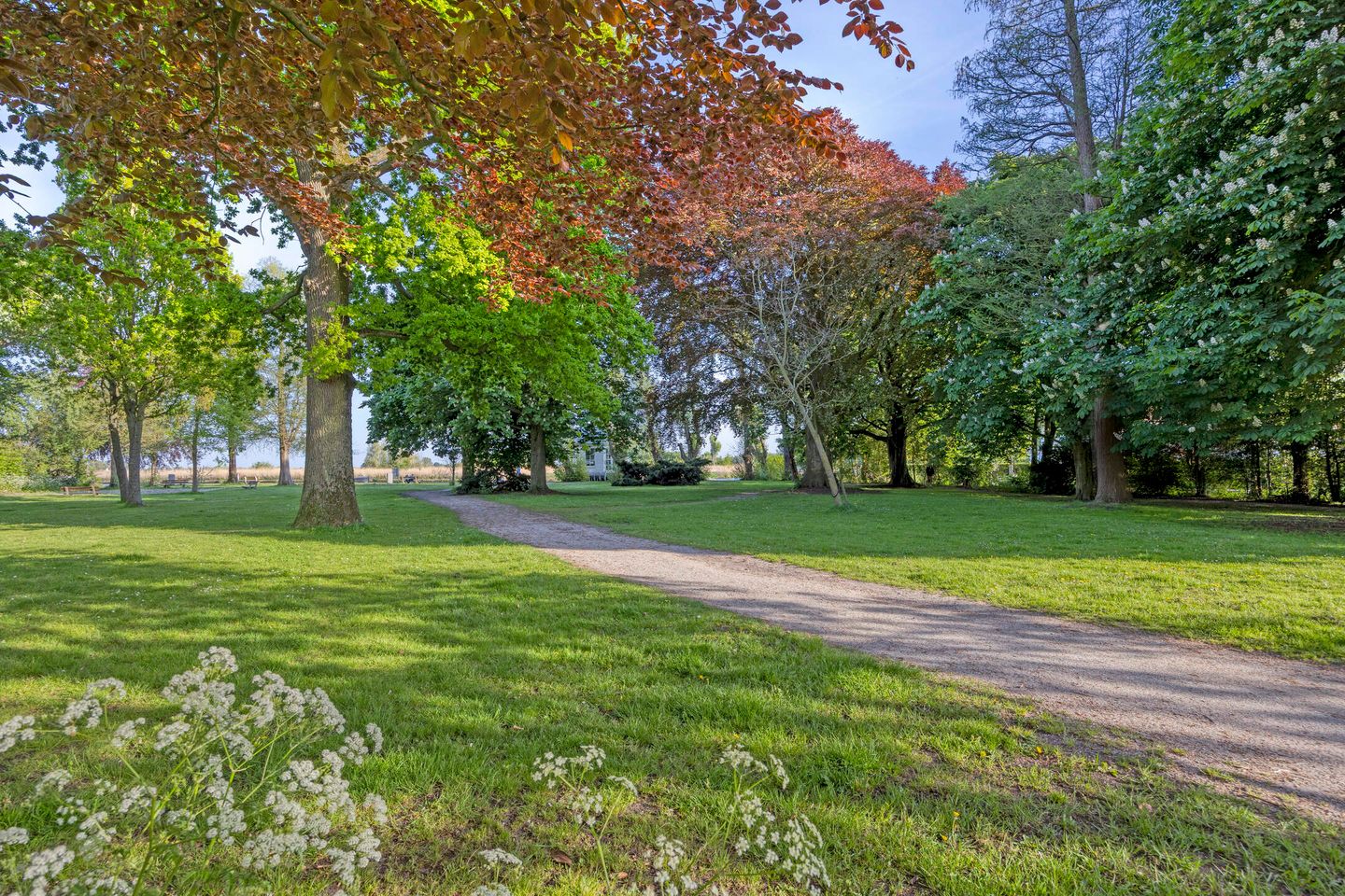 Foto 40 van Dr. Ammanstraat 8