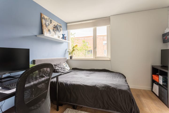 Foto 15 van Adderwortel 32