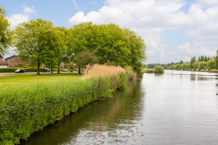 Foto 20 van Adderwortel 32