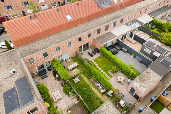 Foto 22 van Adderwortel 32