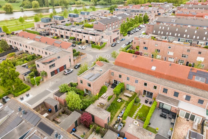 Foto 24 van Adderwortel 32