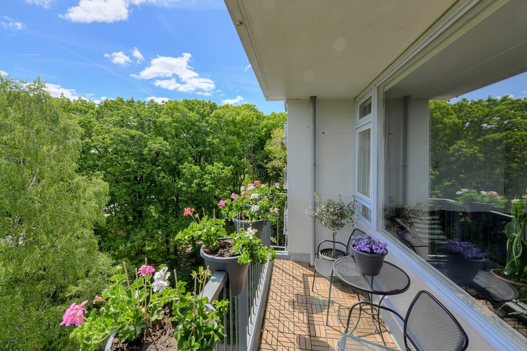 Foto 2 van Boerhaavelaan 147