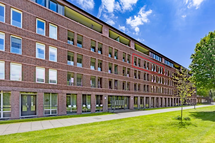 undefined main image