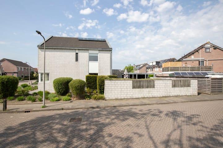 Photo 11 of De Zegge 2