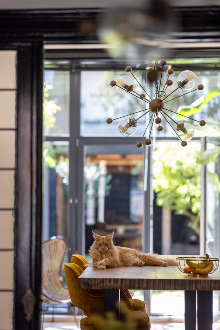 Photo 12 of Binnensingel 118