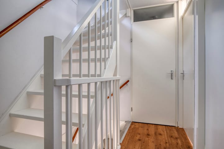 Photo 32 of Anthuriumsingel 47