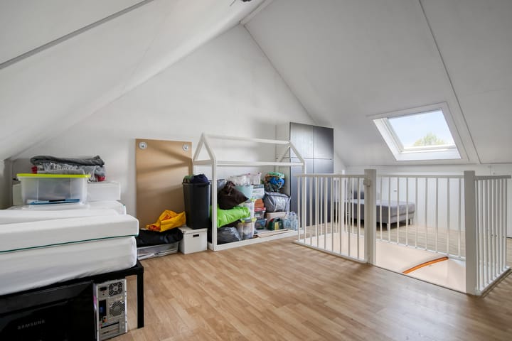 Photo 34 of Anthuriumsingel 47