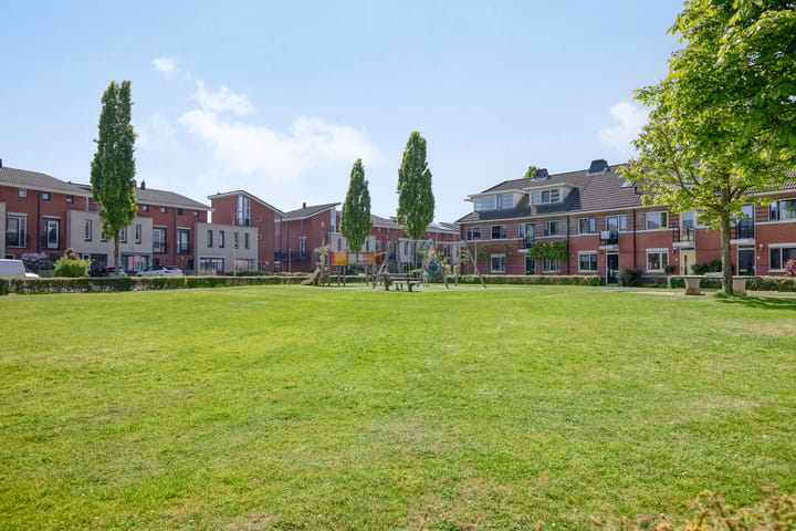 Photo 35 of Anthuriumsingel 47