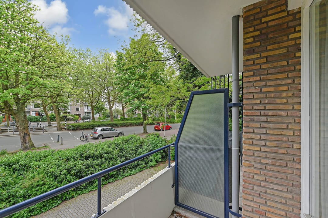 Foto 28 van De Carpentierstraat 137