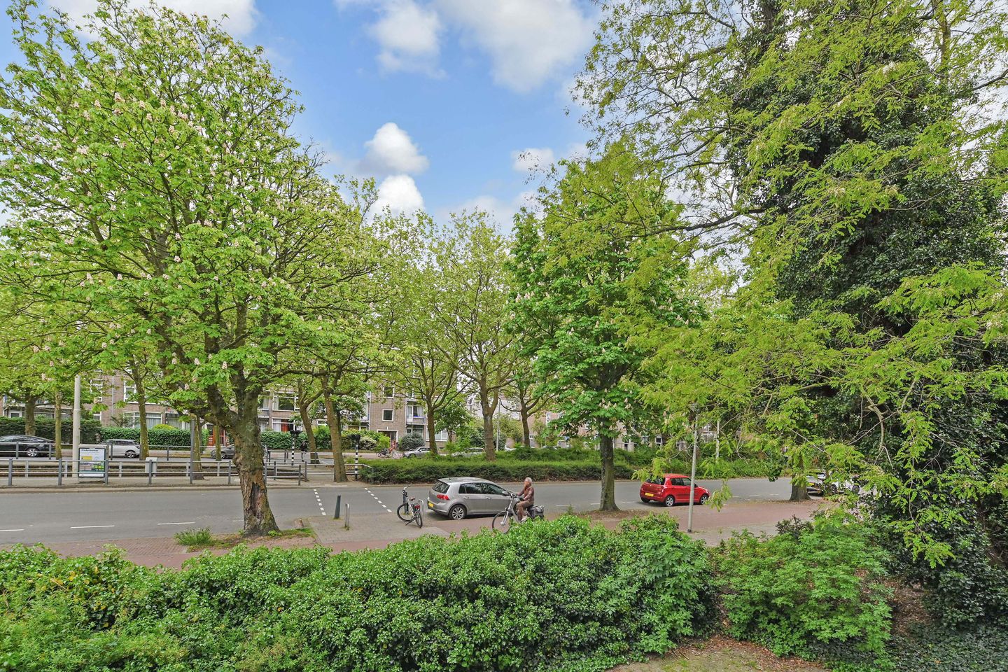 Foto 29 van De Carpentierstraat 137