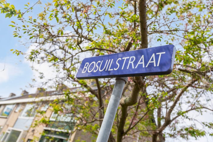 Foto 43 van Bosuilstraat 42