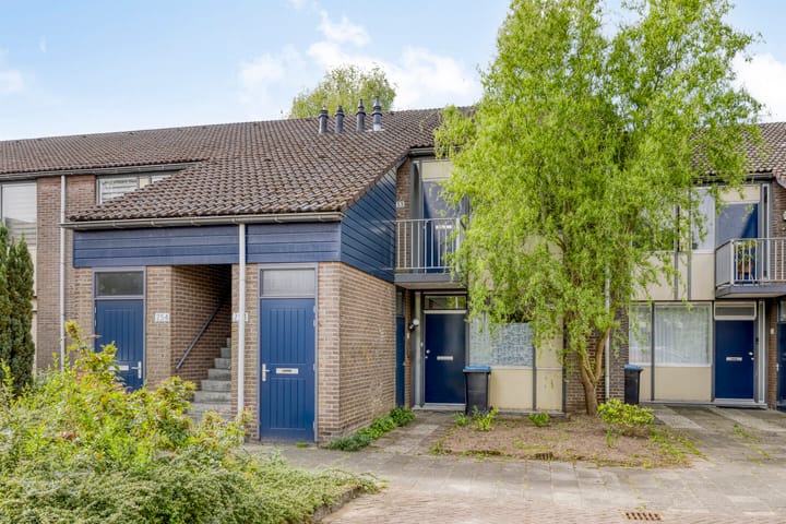 Het Zwanevlot 253