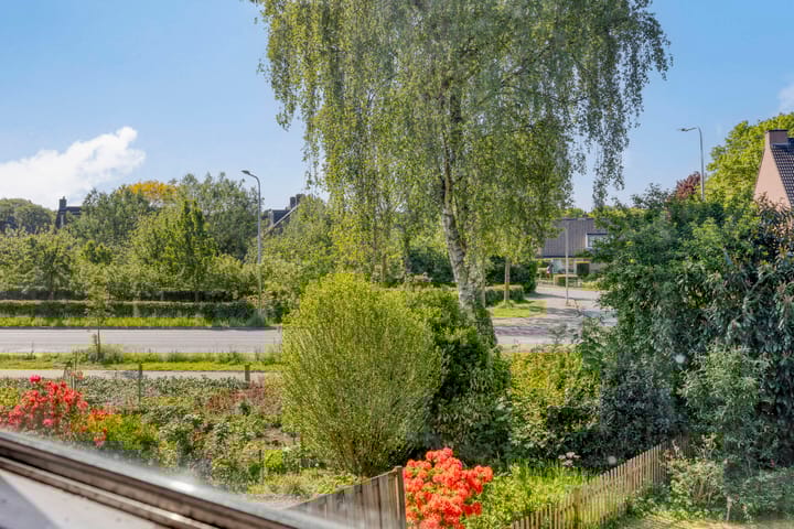 Foto 25 van Het Zwanevlot 253