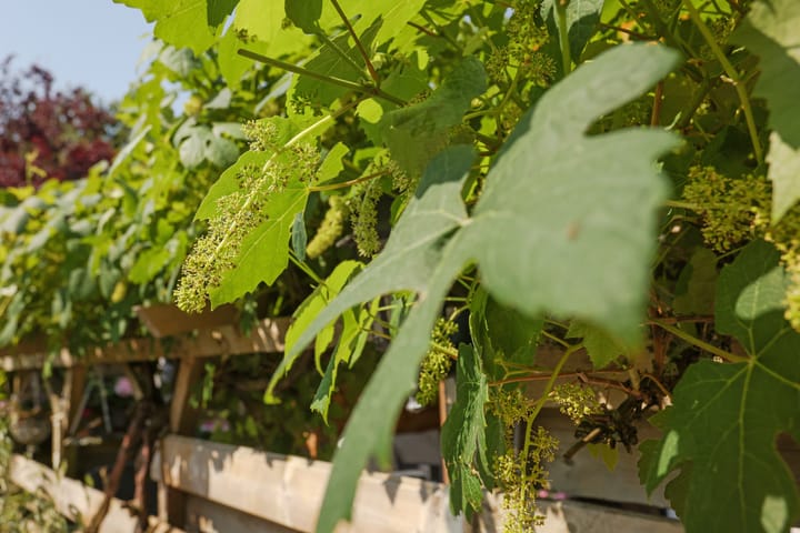 Foto 36 van Rietvelderf 16