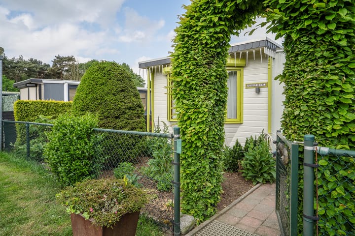 Photo 46 of De Peel 13-J91