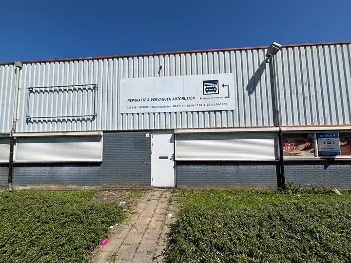 Satijnbloem 6