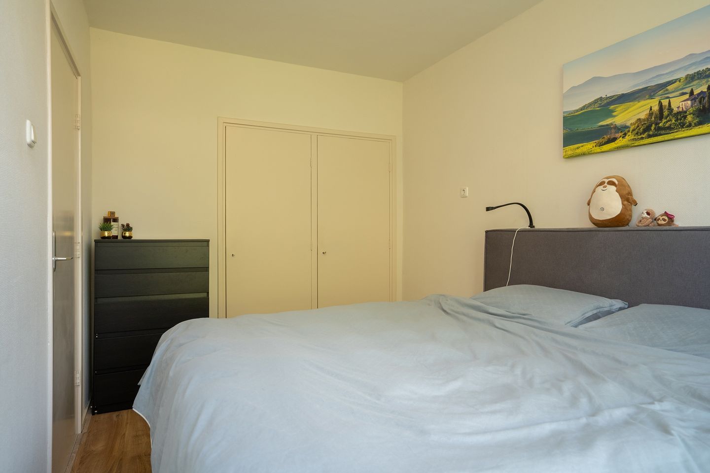 Foto 14 van Dommelstraat 32