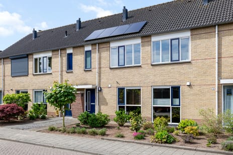 undefined main image