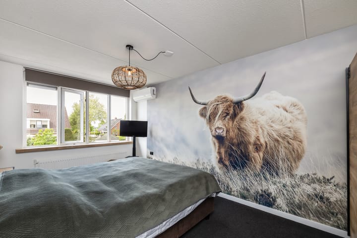 Foto 13 van de Schaarsen 4