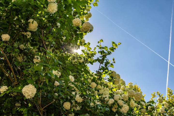 Foto 27 van Bordewijklaan 137