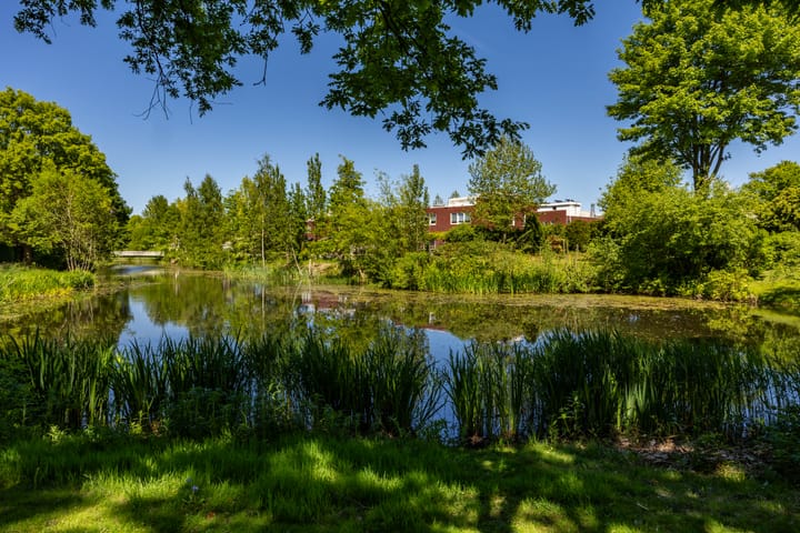 Foto 33 van Bordewijklaan 137