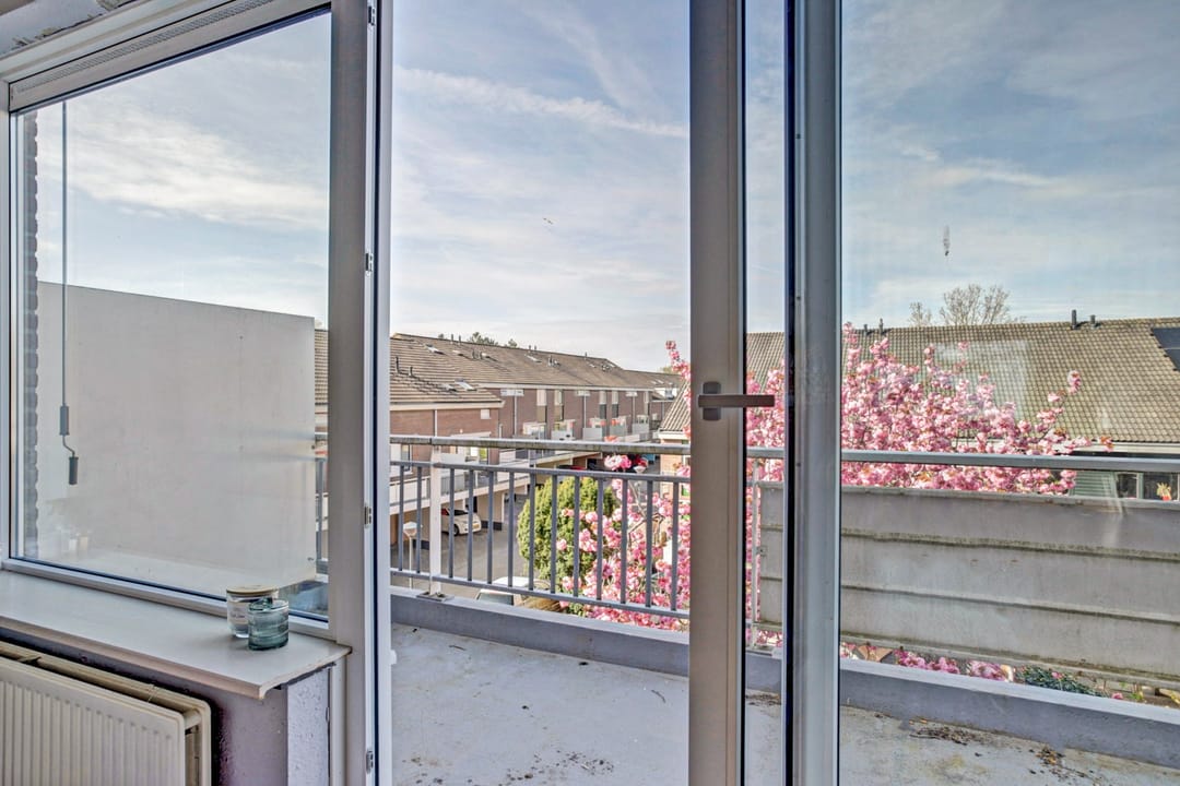 Foto 31 van Boogschutter 67