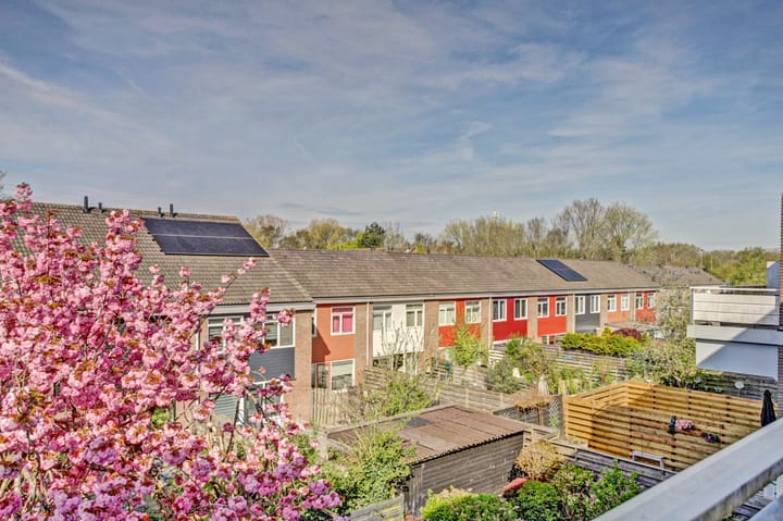 Foto 34 van Boogschutter 67