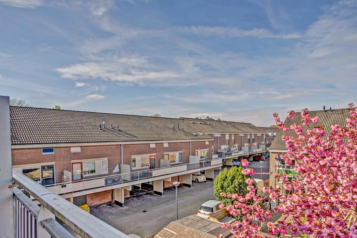 Foto 35 van Boogschutter 67