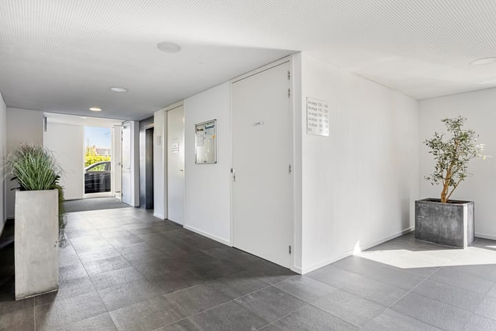 Foto 6 van Zilverstein 107