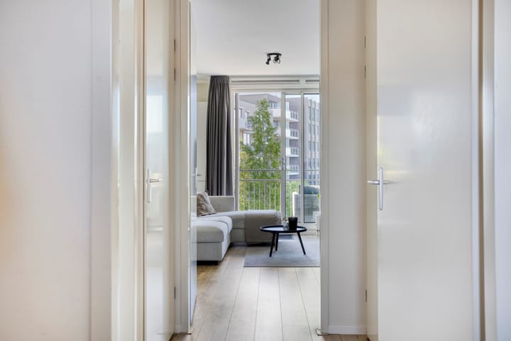 Foto 9 van Zilverstein 107