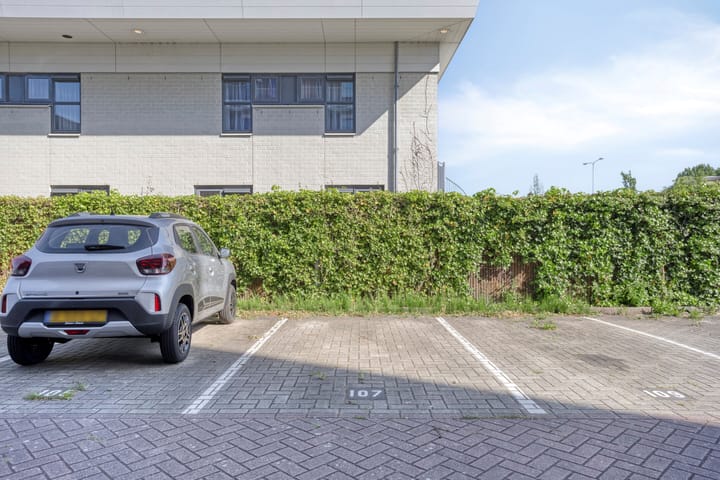 Foto 24 van Zilverstein 107