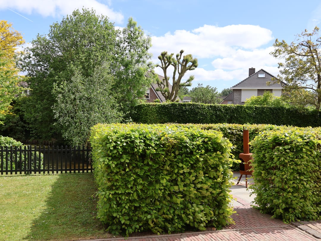 Foto 38 van Buitendijk 54