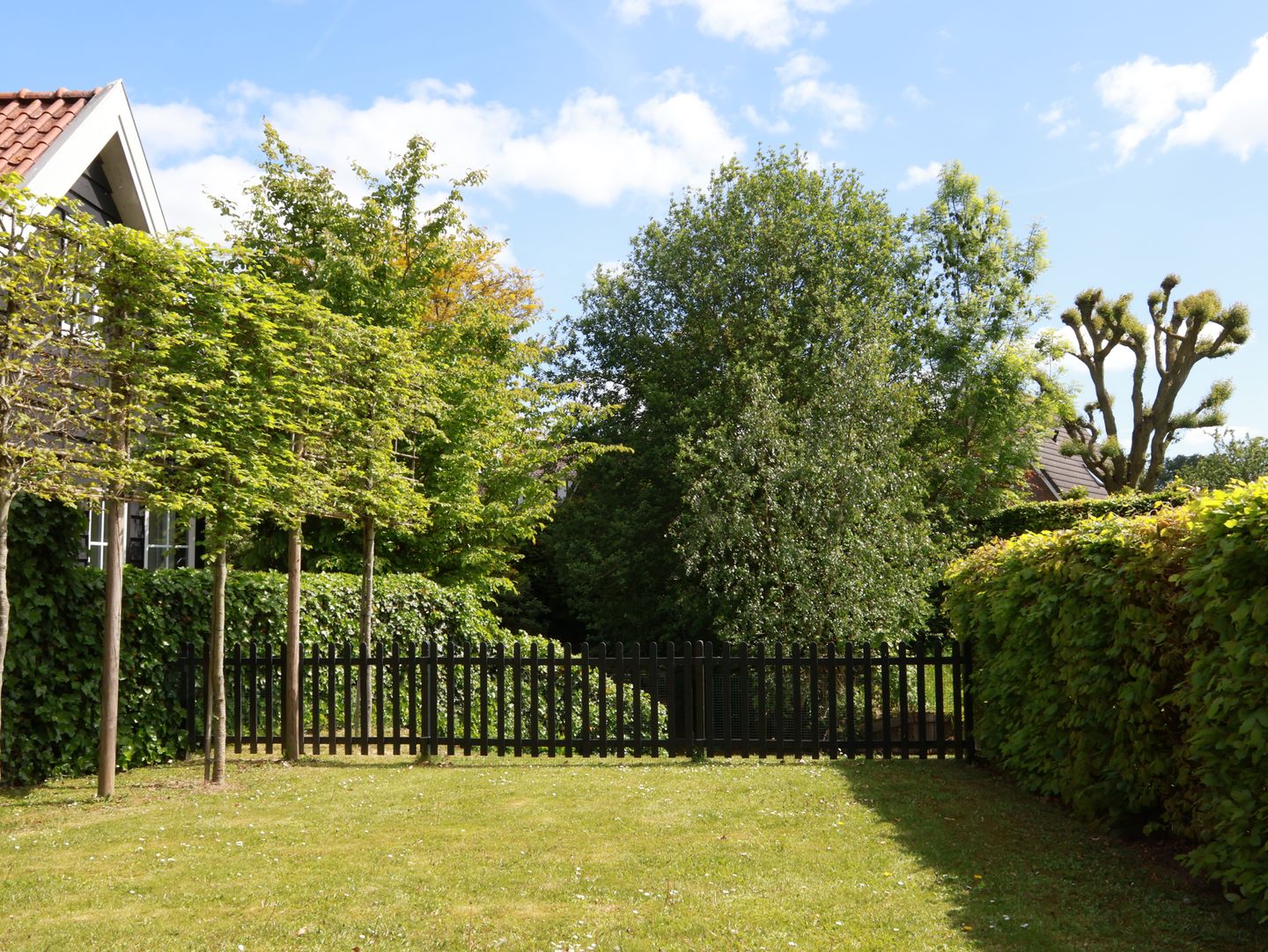 Foto 40 van Buitendijk 54