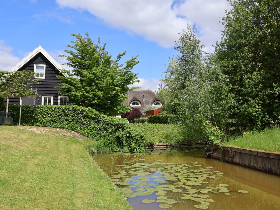 Foto 41 van Buitendijk 54