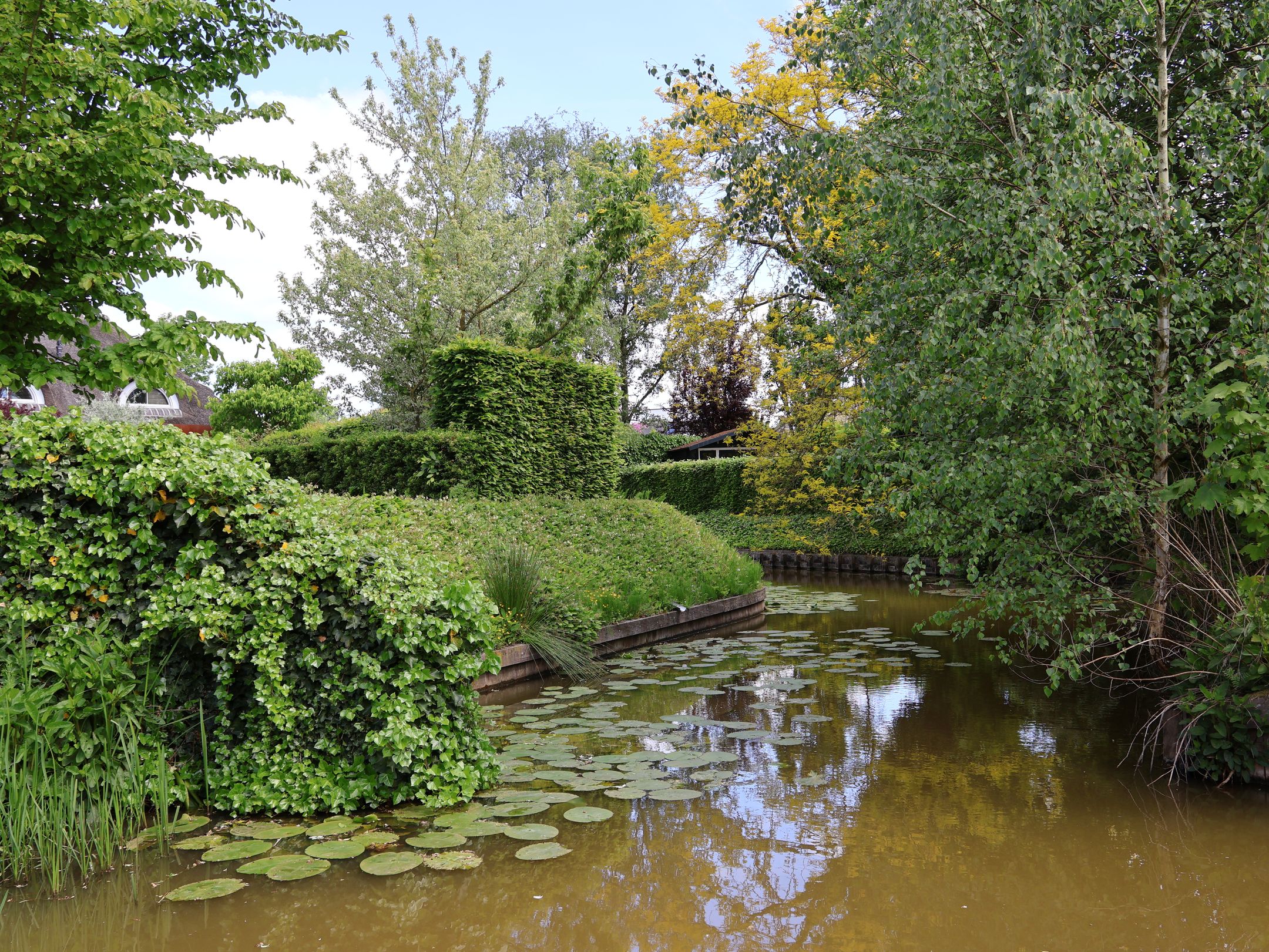 Foto 42 van Buitendijk 54