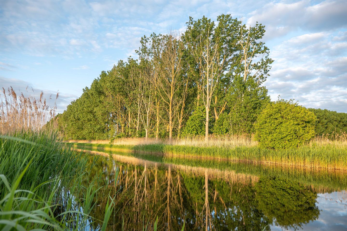 Photo 33 of De Notentuin Fase 2