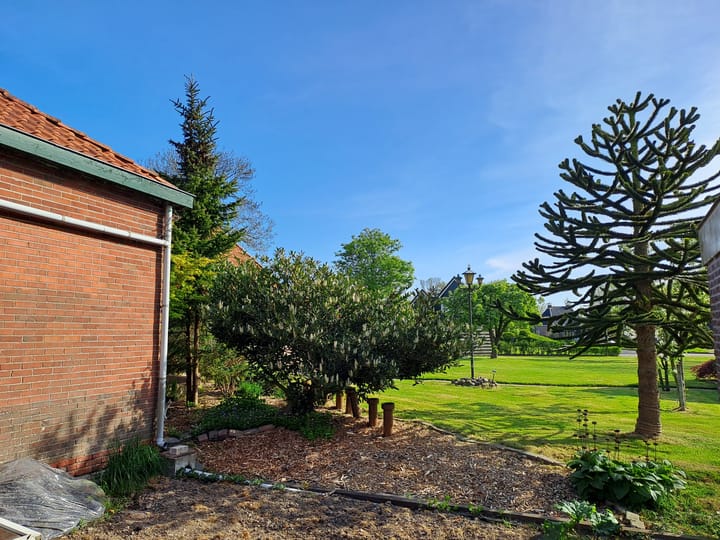 Photo 57 of Slachtersrige 1