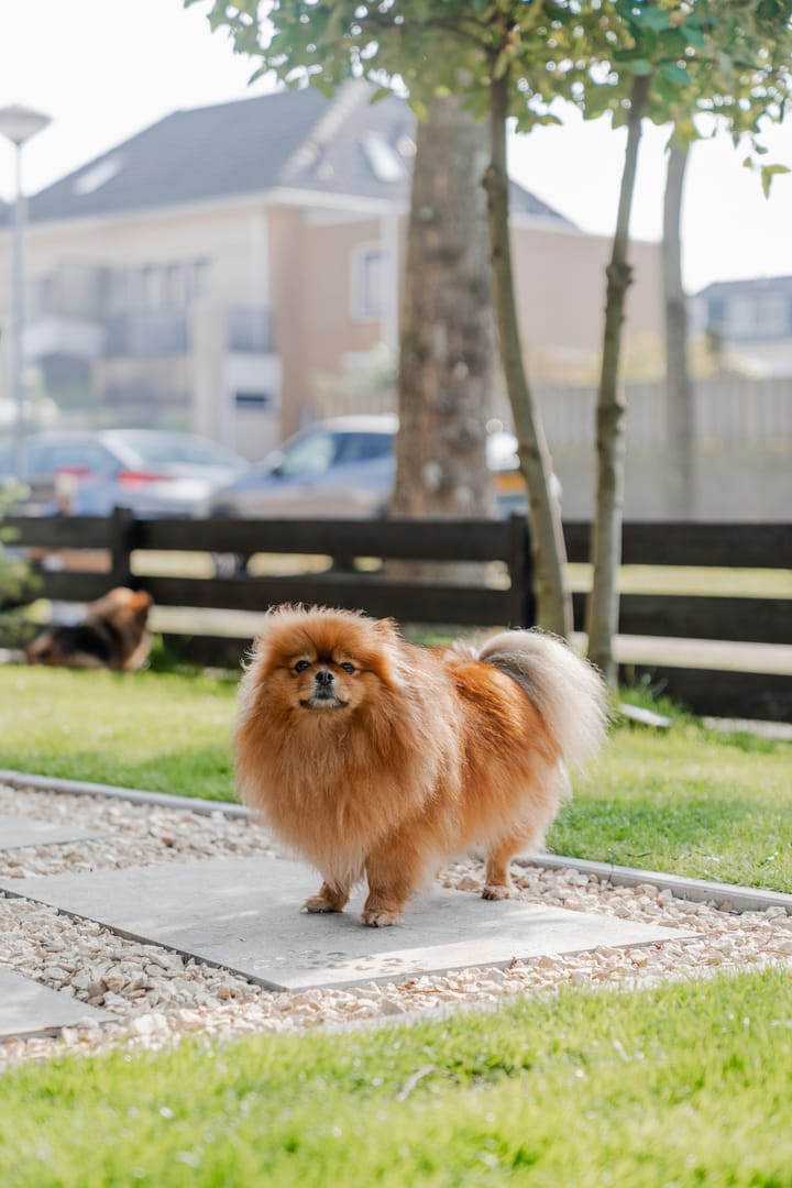Foto 52 van Parkwijklaan 193