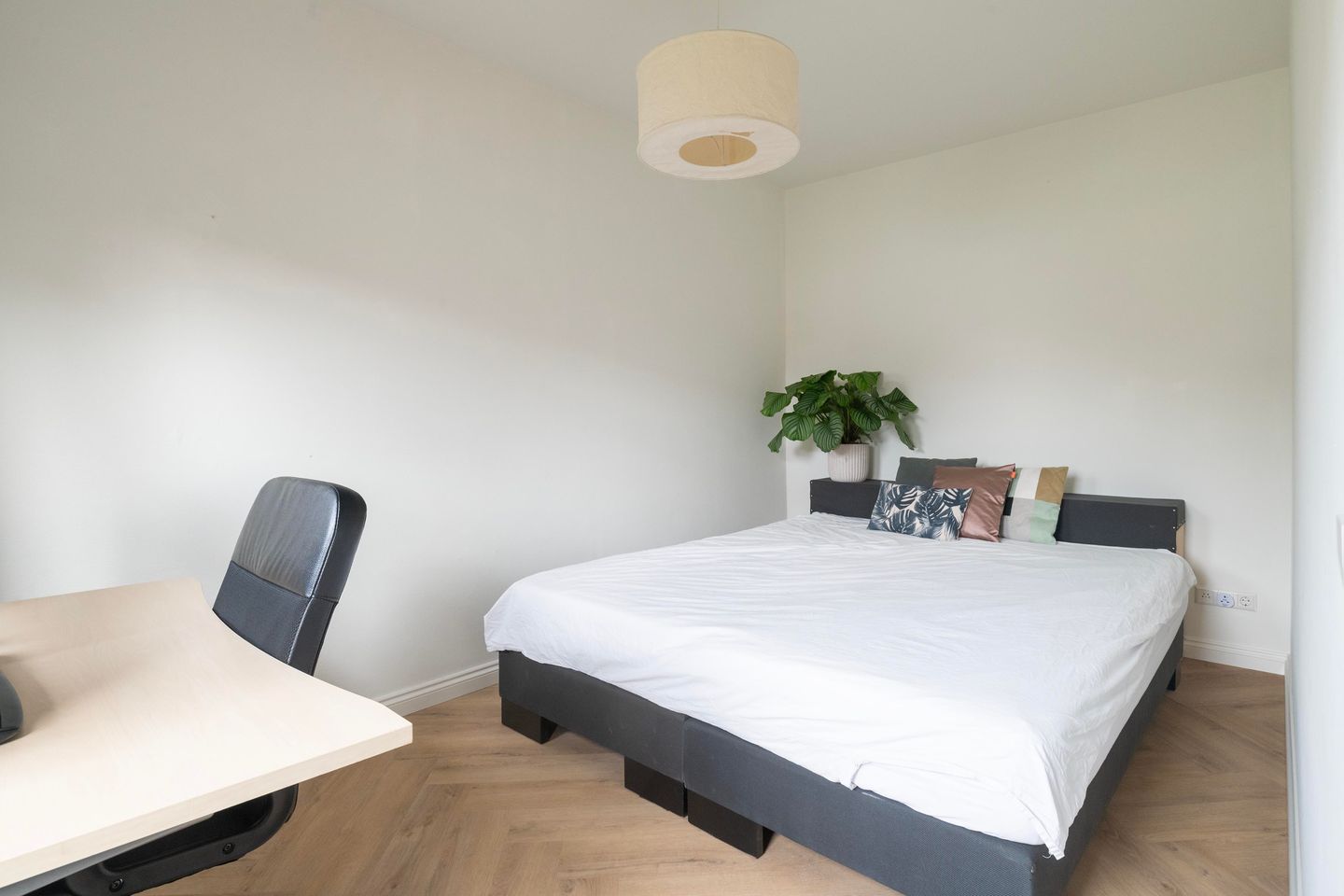 Photo 20 of Amalia van Solmslaan 7