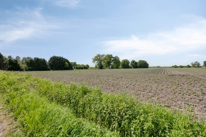 Foto 54 van Welpenheuvel 26