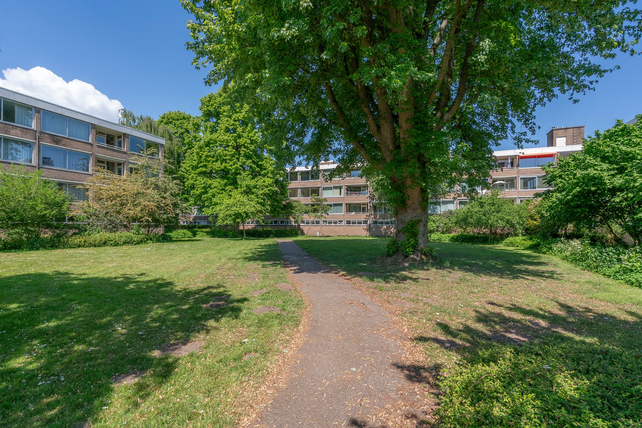 Foto 39 van Gijsbrecht van IJselsteinstraat 107