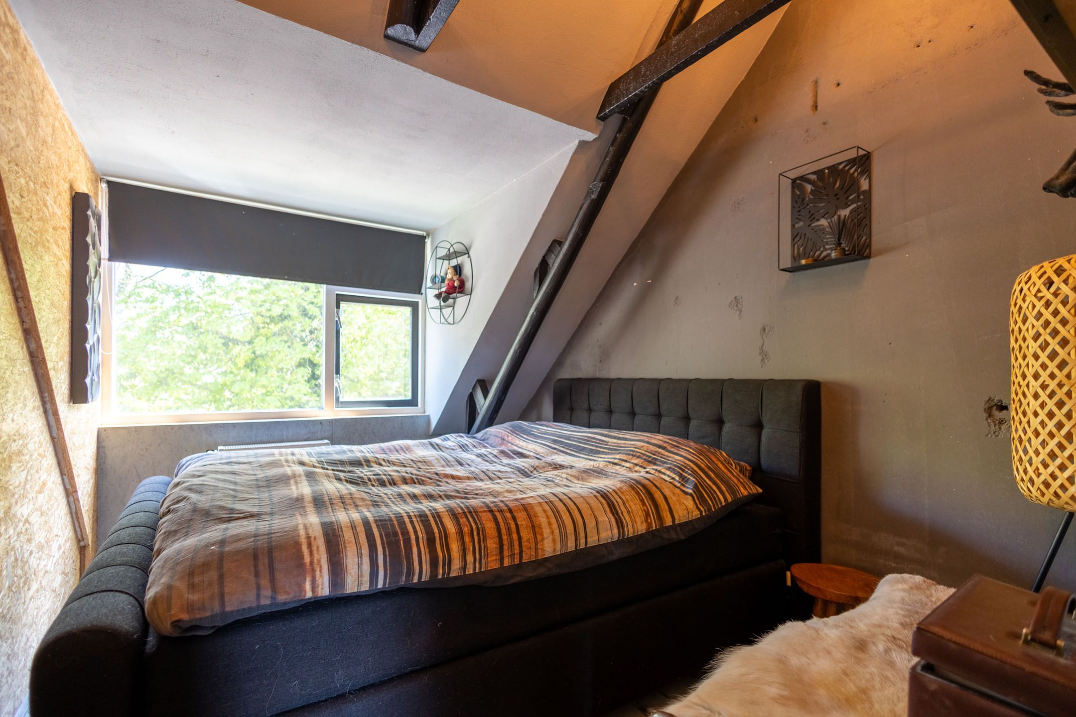 Foto 15 van Frans Halsstraat 11