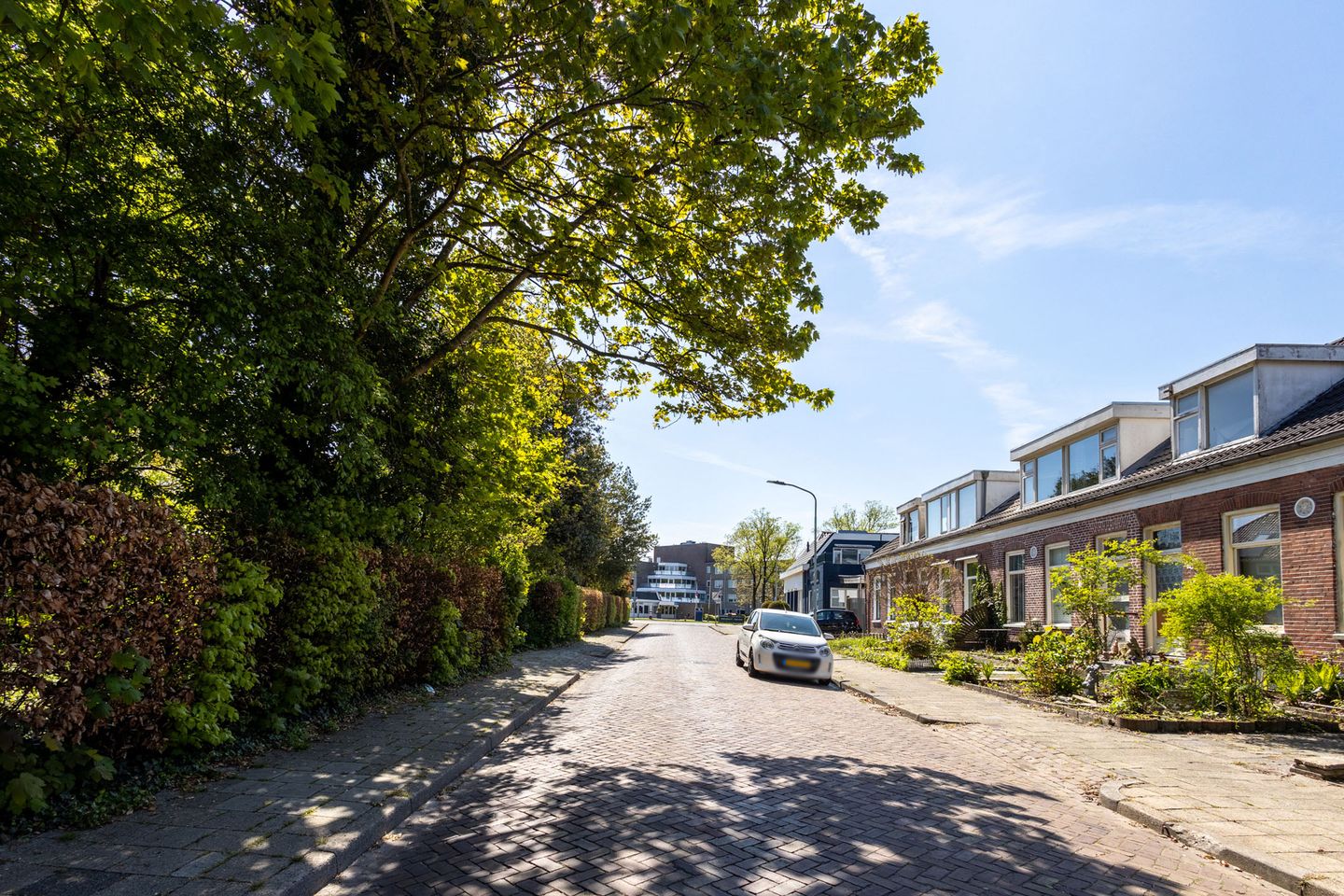 Foto 25 van Frans Halsstraat 11