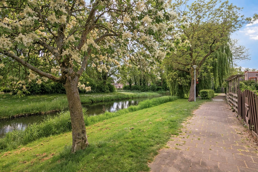 Foto 43 van Grote Waard 27