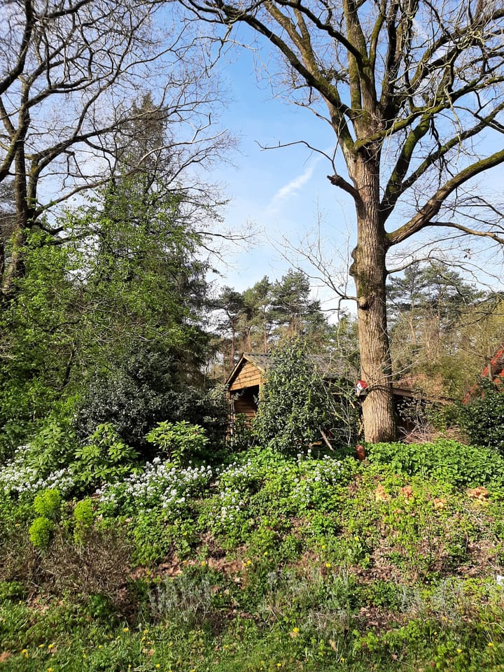 Foto 11 van Zonneoordlaan 47